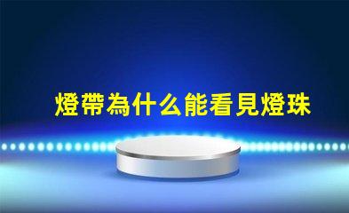 燈帶為什么能看見燈珠呢 鹿看見燈為什么不走